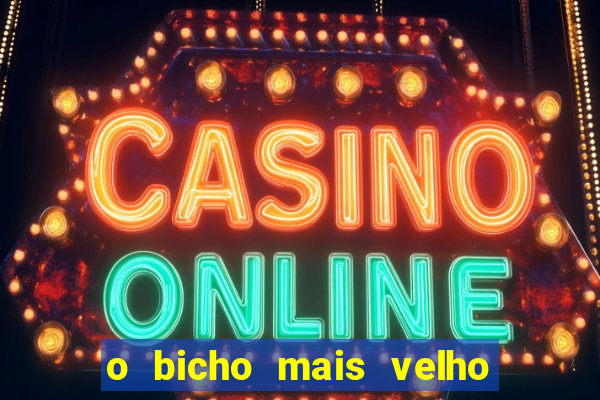 o bicho mais velho da loteria dos sonhos